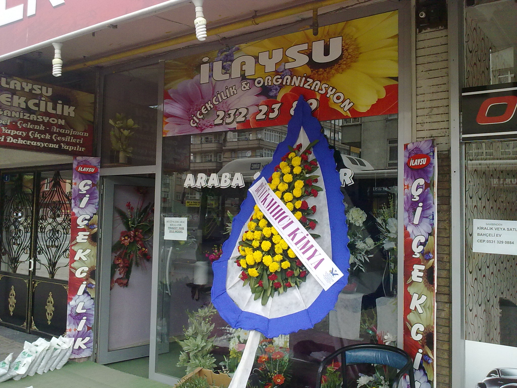 İlaysu-Çiçekçilik