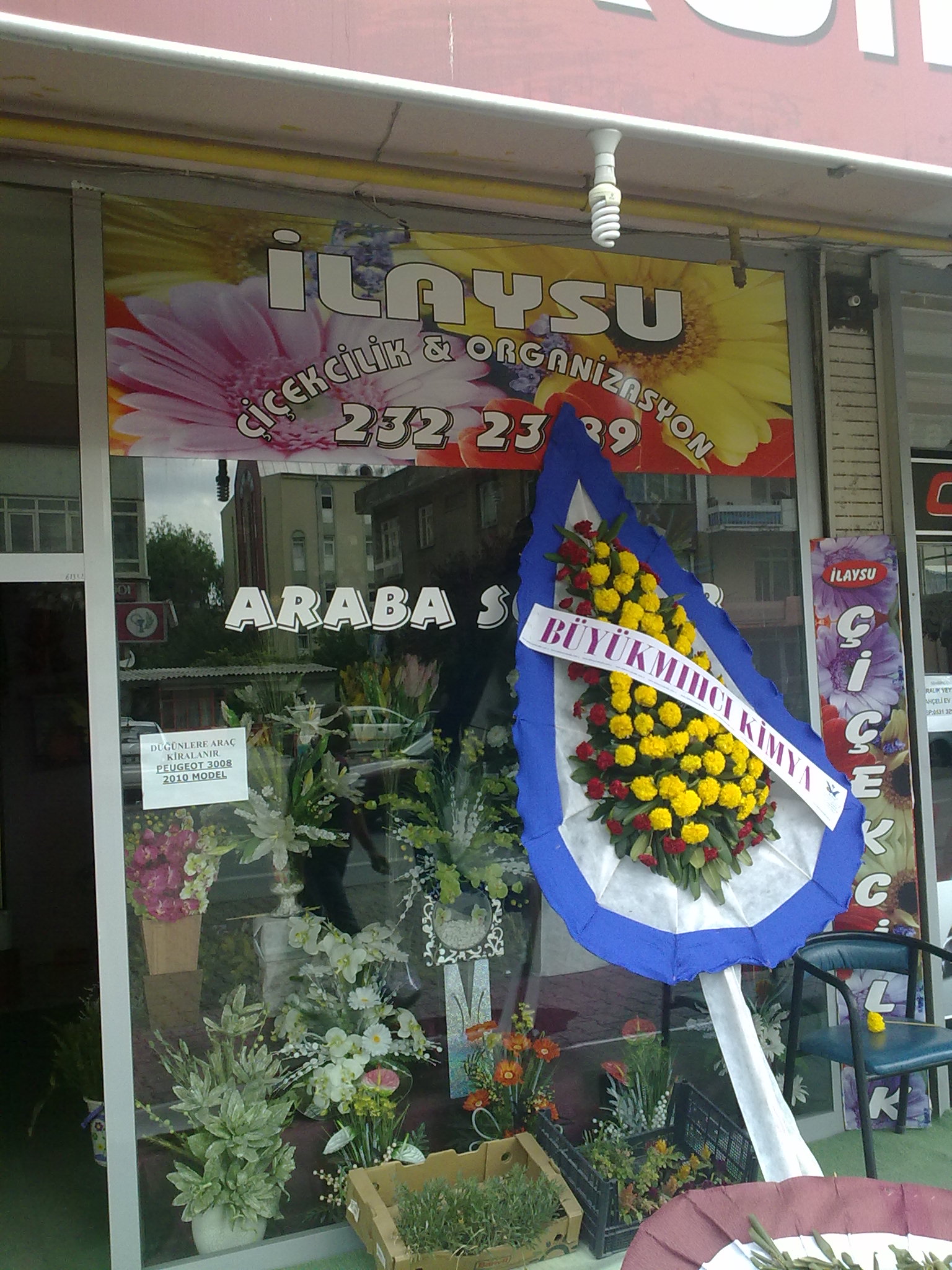 İlaysu-Çiçekçilik